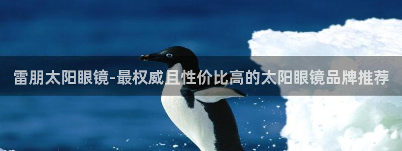 新宝5是什么