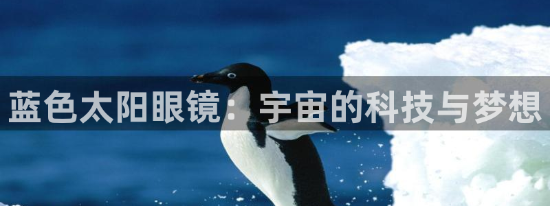 新宝5手机平台登陆