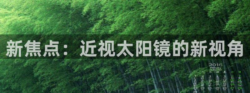 新宝5登录地址