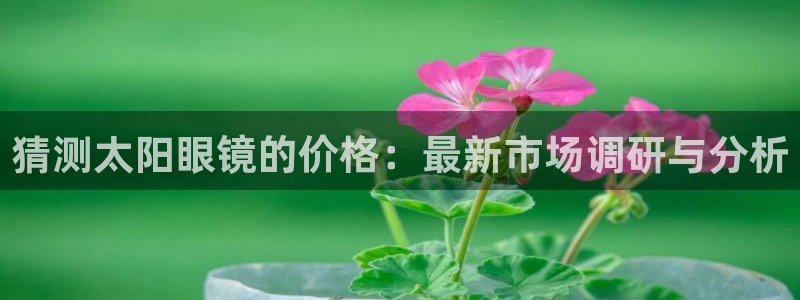 新宝5怎么代理