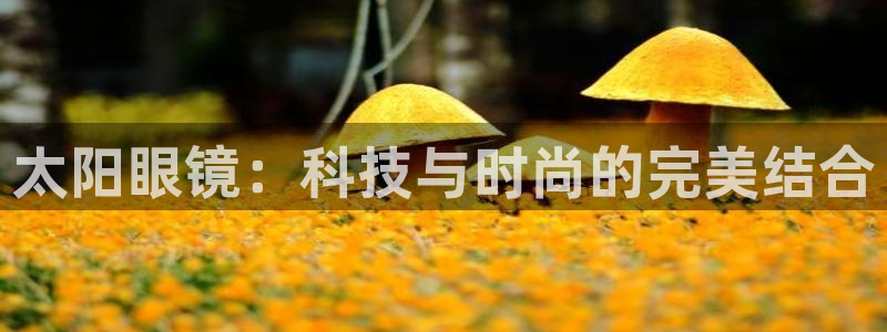 新宝5平台登录下载软件