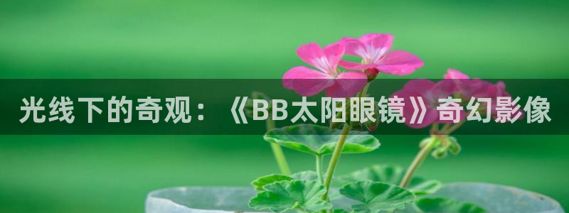 有人知道新宝5么