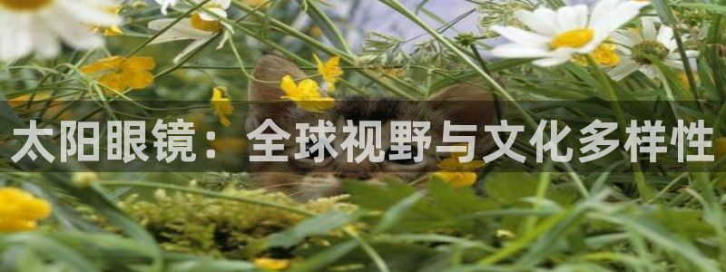 新宝5官方下载地址