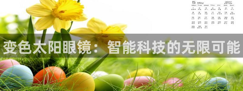 新宝堂新会陈皮5年