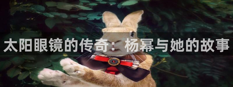 新宝娱乐5