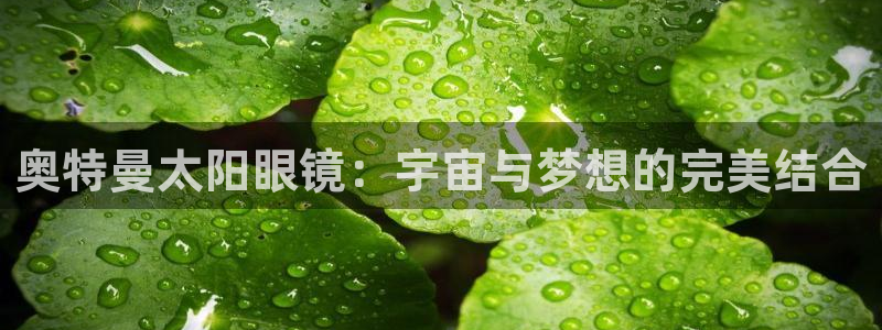 新宝5下载到桌面
