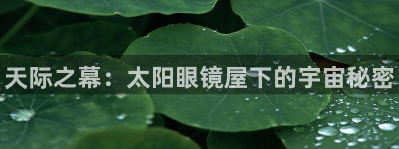 新宝5平台咋样