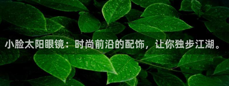 新宝5新宝6顺达