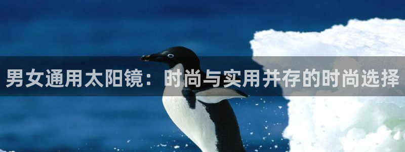 新宝5娱乐多