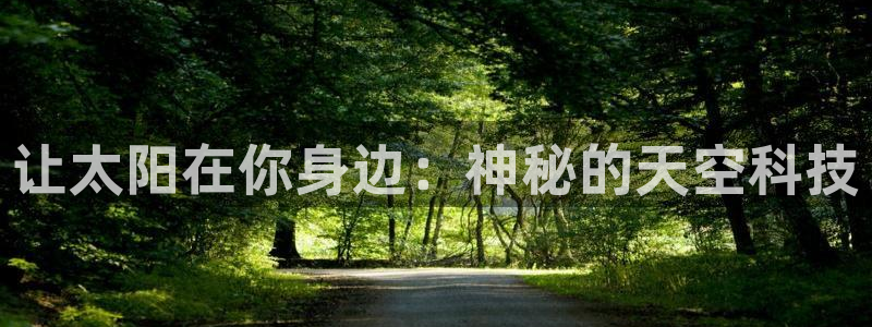 新宝5在哪里