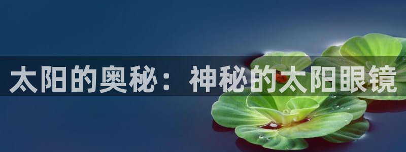 新宝5官方下载地址