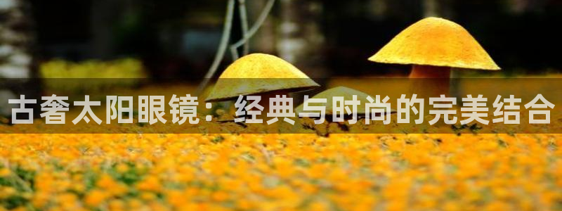 新宝堂新会陈皮5年