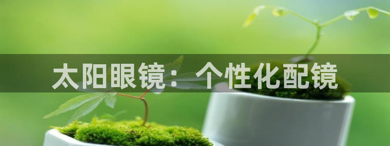 新宝5手机平台登陆