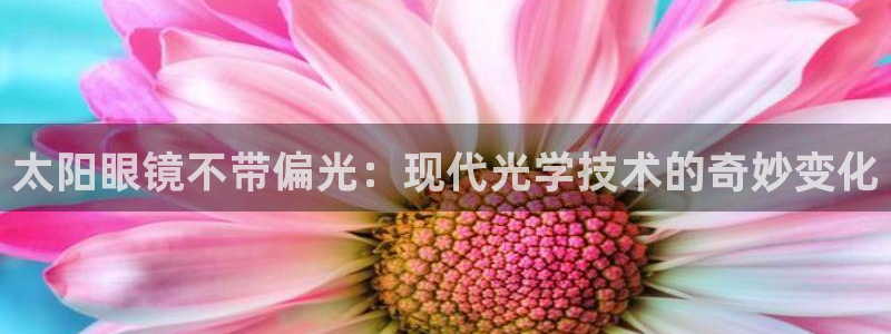 新宝5苹果手机下载