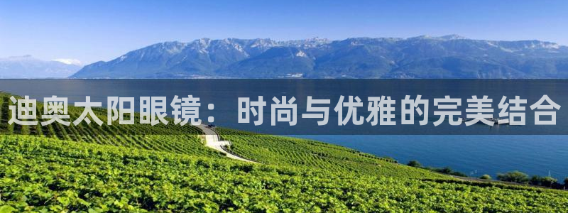 新宝5平台登录注册