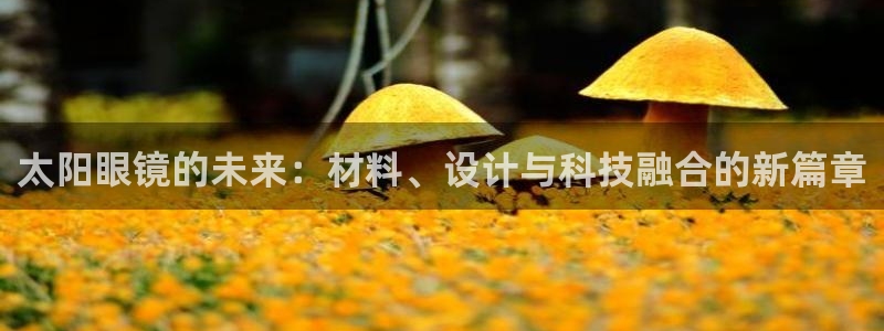 新宝5官方下载地址