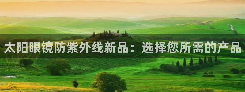 新宝股东王听2 5 5