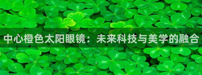 新宝股东王听2 5 5