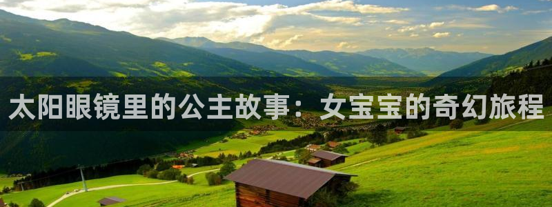 新宝堂新会陈皮5年